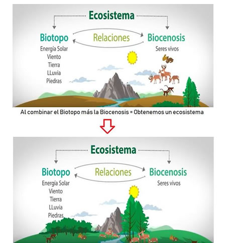 biotopos